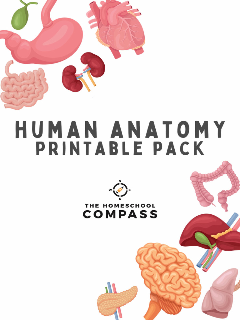 HUMAN ANATOMY STUDY GUIDE PDF visual data 6