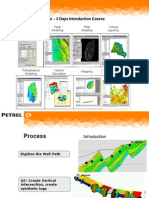 Petrel Workflow - 2 Days Introduction Course: Fault Modeling Pillar Gridding Vertical Layering Data Import