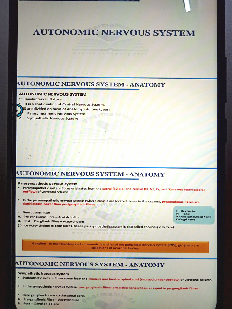 Parasympathetic - Pharmaminds | PDF | Acetylcholine | Autonomic Nervous ...