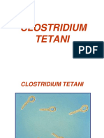 Clos Tetani