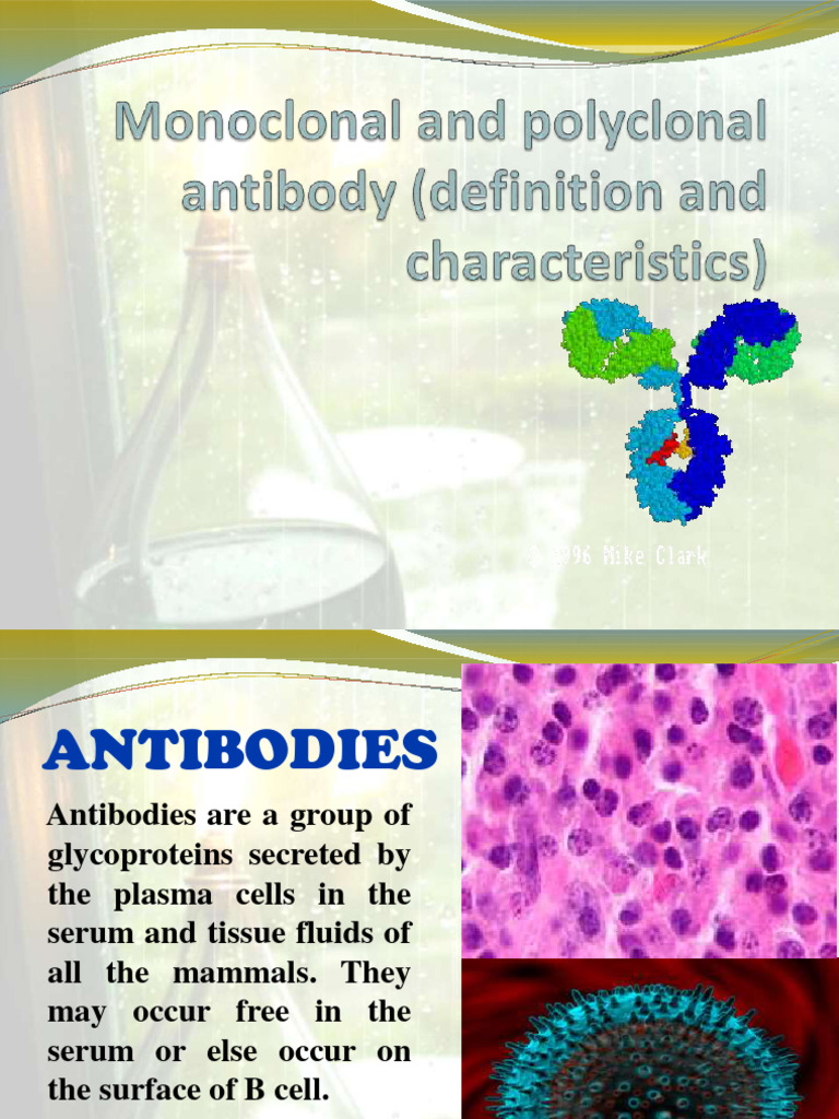 Monoclonal vs Polyclonal Antibodies | PDF | Monoclonal Antibody | Antibody