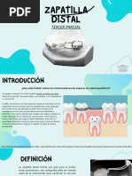 Mantenedor de Espacio Banda-Ansa | PDF | Ortodoncia | Especialidades ...