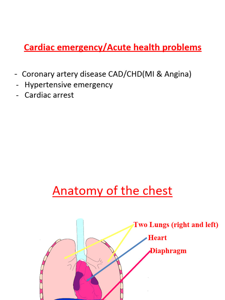Coronary Artery Disease | PDF | Myocardial Infarction | Coronary Artery ...