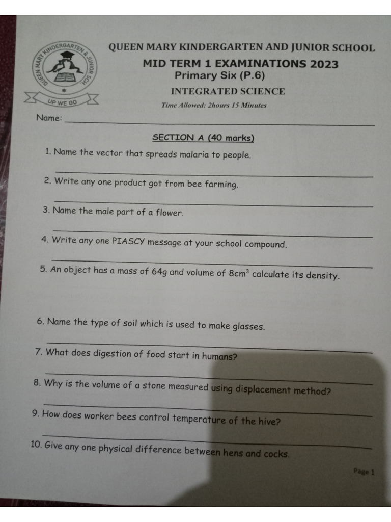 P.6 Science Mid Term One Exams | PDF