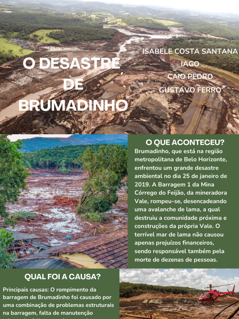 Desastre de Brumadinho: Causas e Impactos | PDF