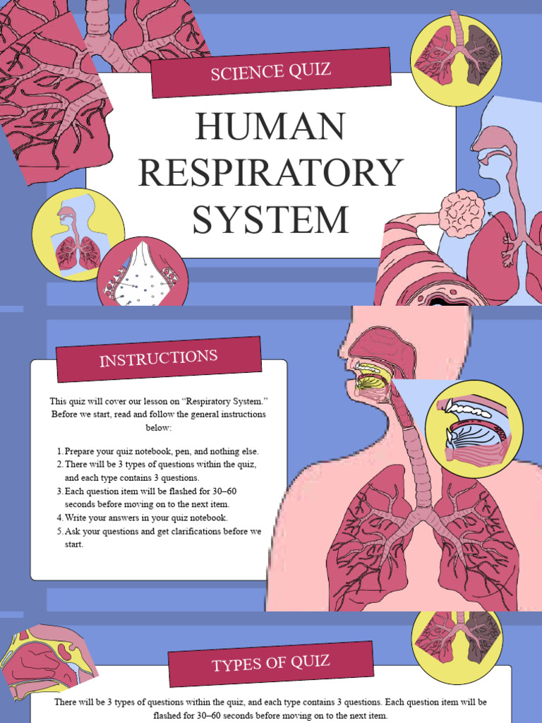 The Respiratory System Educational Quiz Presentation in Blue, Yellow ...