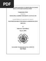 Download Project PNB Subroto by Subroto Chowdhury SN75538525 doc pdf