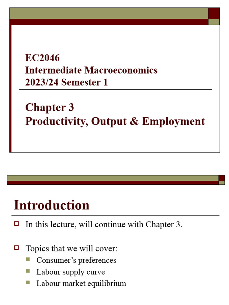 Productivity and Labor Supply Analysis | PDF | Labour Economics ...