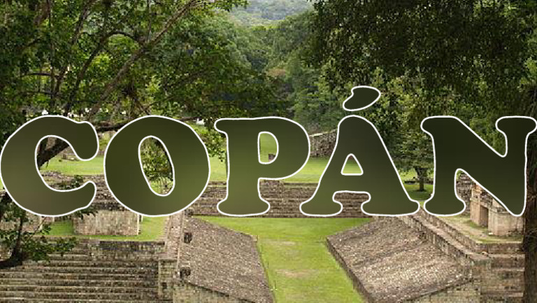 COPAN | PDF