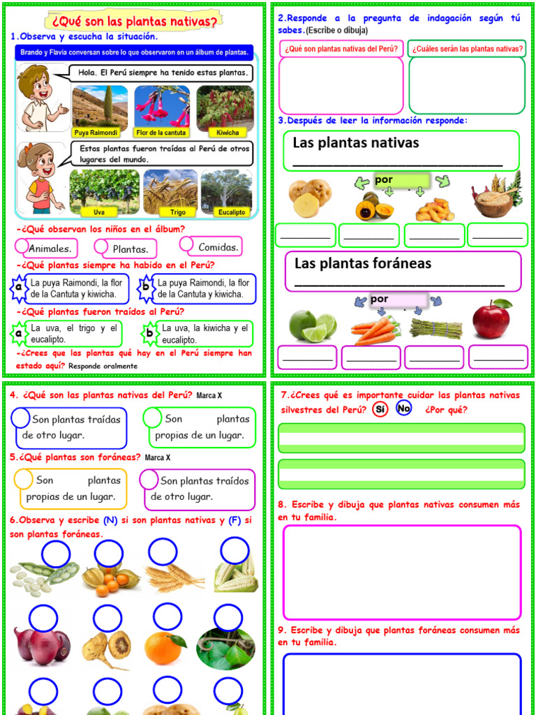 Plantas Nativas y Foráneas del Perú | PDF | Artes del Lenguaje y ...