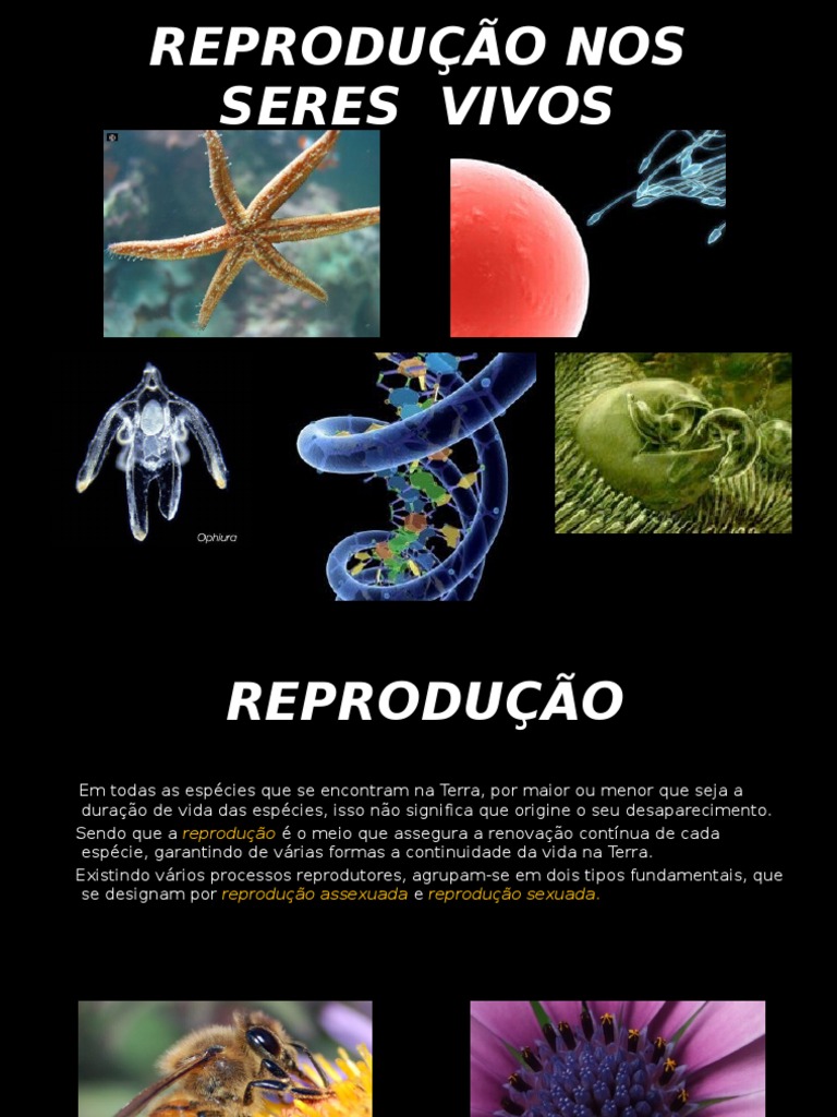 Tipos de Reprodução nos Seres Vivos | PDF | Reprodução | Cromossomo