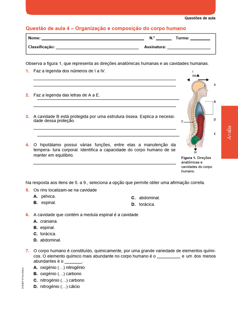 Questões sobre Anatomia e Fisiologia Humana | PDF | Corpo humano | Anatomia