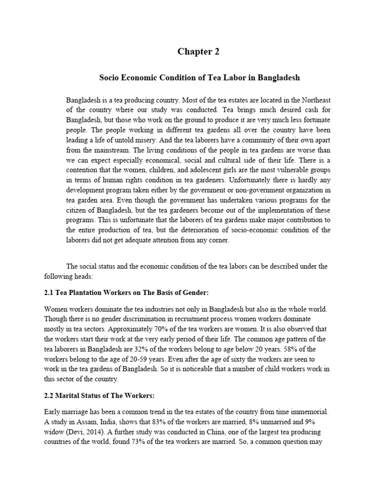 Baramasia Tea Estate Labor Conditions | PDF | Child Labour | Pregnancy
