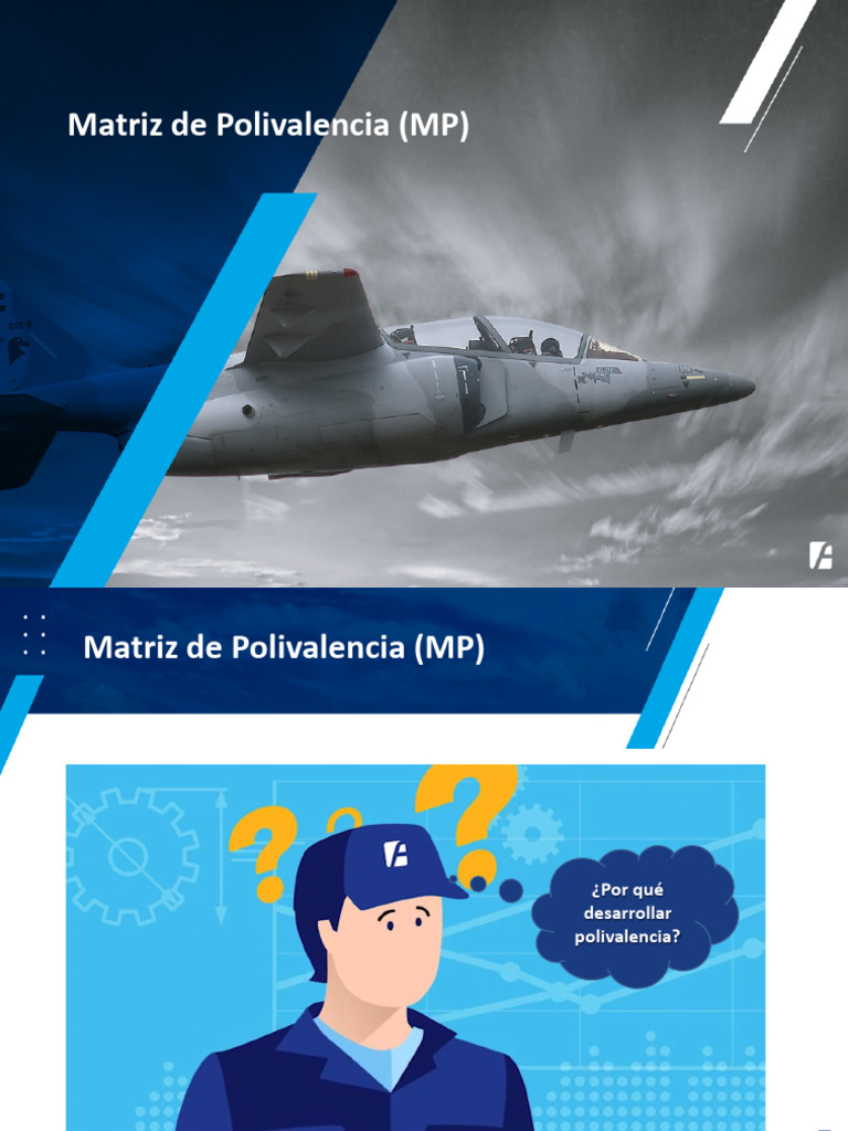 Ejemplo de Matriz de Polivalencia | PDF