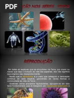 Reprodução