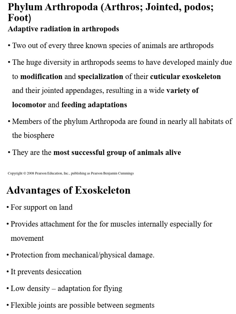 Arthropoda and Echinodermata | PDF | Spider | Insects