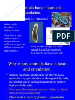 Checkpoint 1.1.why Heart and Circulation