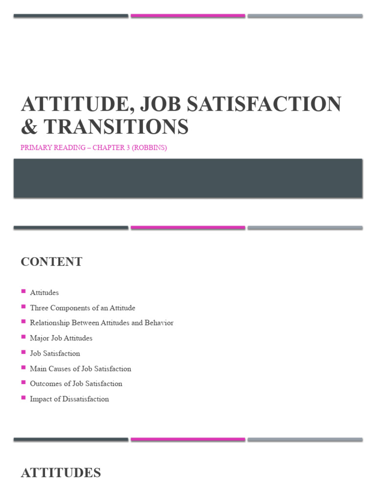 Job Satisfaction and Employee Attitudes | PDF | Job Satisfaction ...