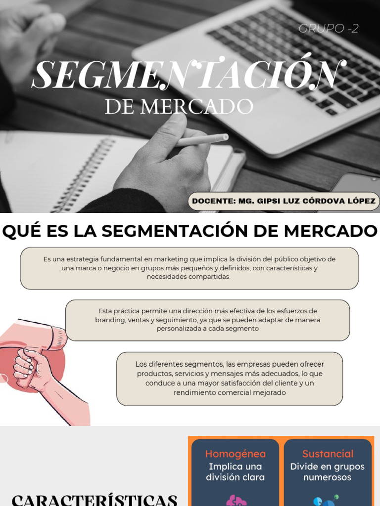 Estrategias de Segmentación de Mercado | PDF | Marketing | Comportamiento
