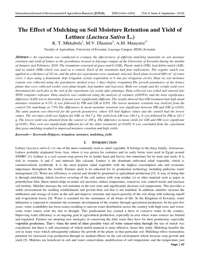 Mulching Effects on Lettuce Yield and Moisture | PDF | Mulch | Soil