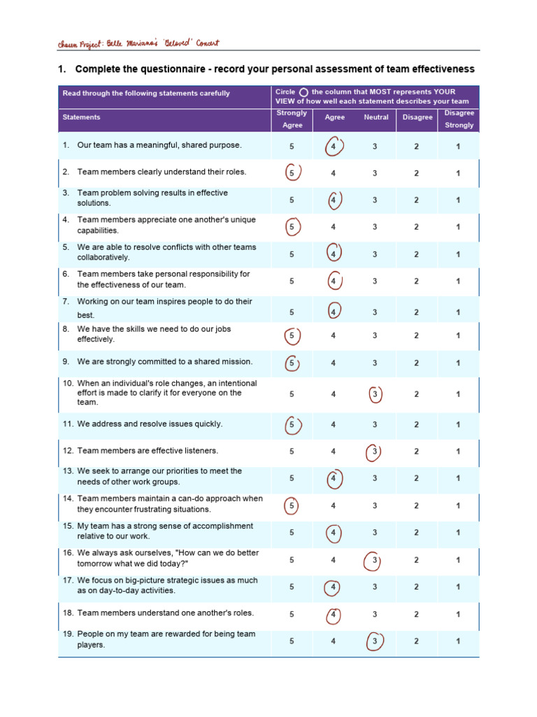 Team Effectiveness Assessment Tool | PDF | Psychology | Behavioural ...