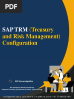 SAP Funds Management Configuration Guide | PDF | String (Computer ...