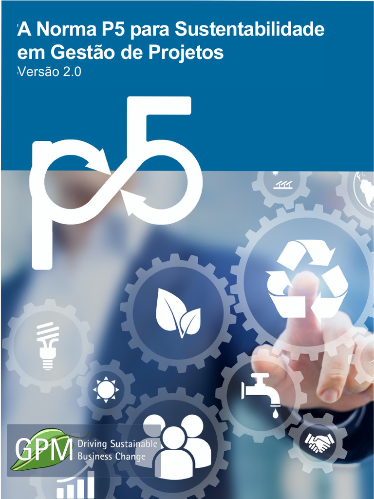 The P5 Standard (Portugues-Brazil) | PDF | Despesa | Sustentabilidade