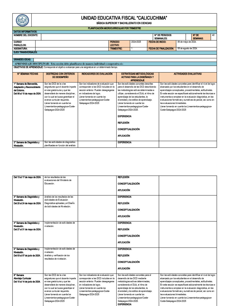 Planificación Microcurricular 2024-2025 | PDF | Plan de estudios ...