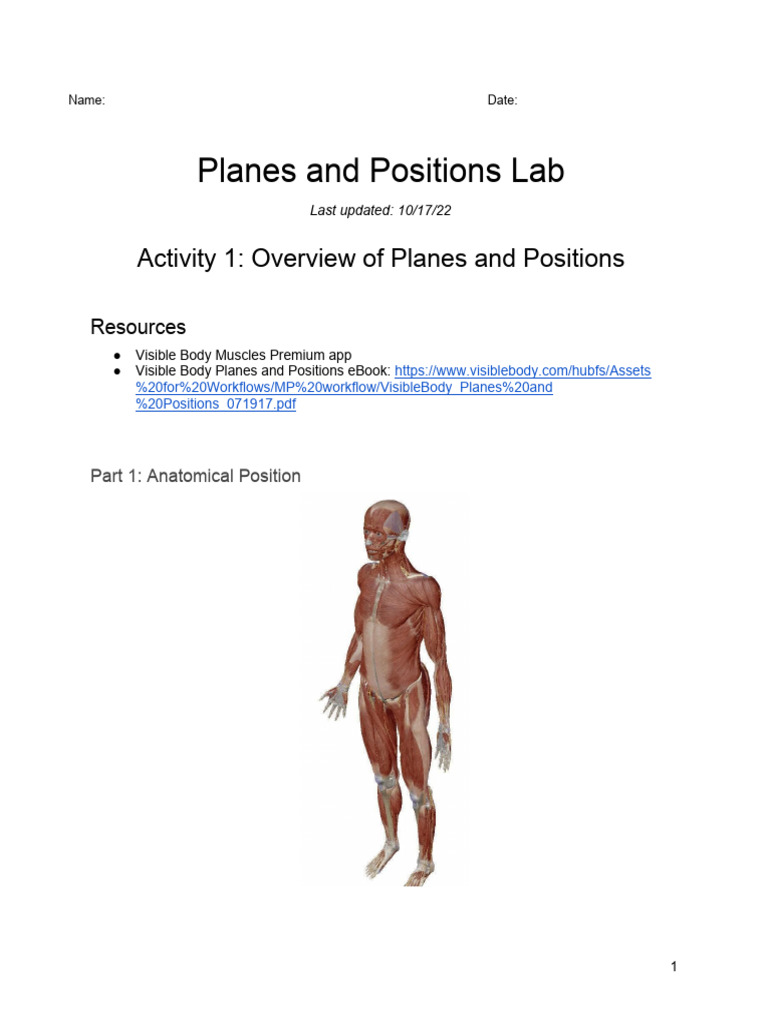 muscle-premium-lab-planes-positions | PDF | Human Leg | Limbs (Anatomy)