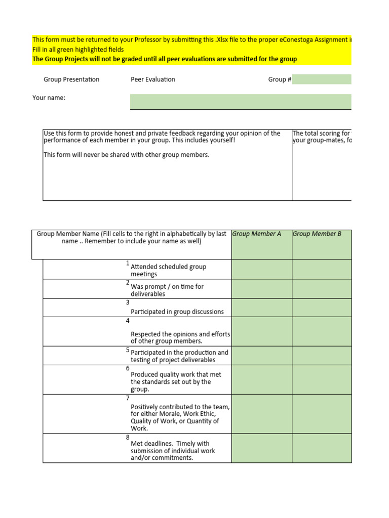 Group Project Peer Evaluation Form | PDF