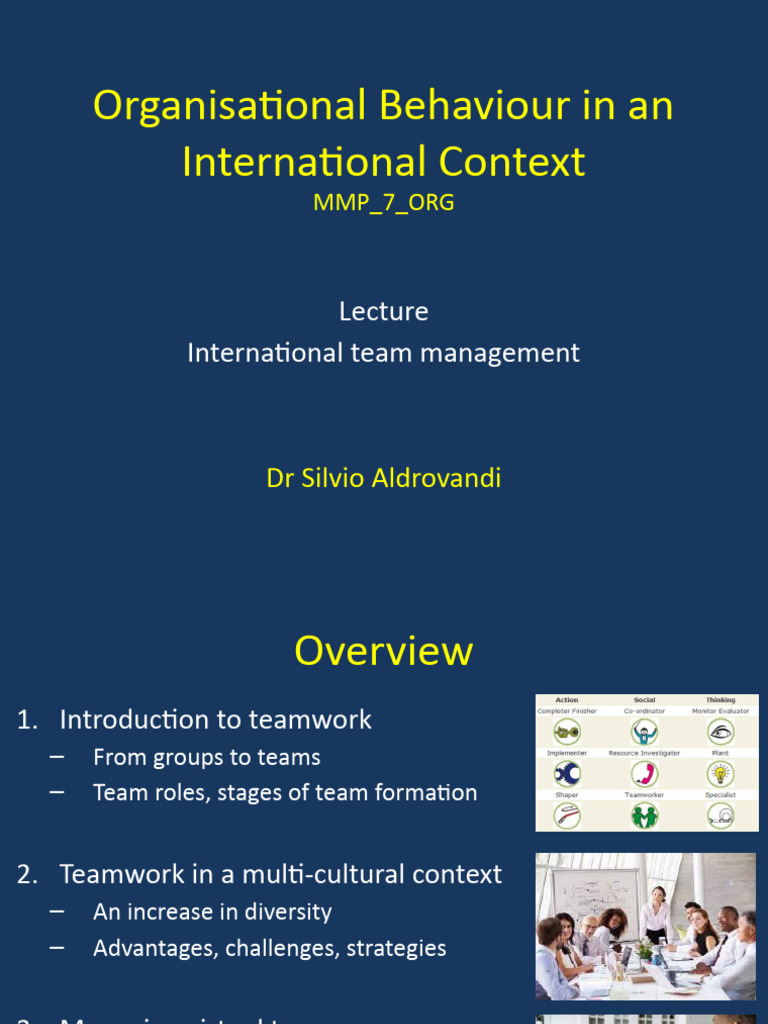 International Team Management Insights | PDF | Social Psychology
