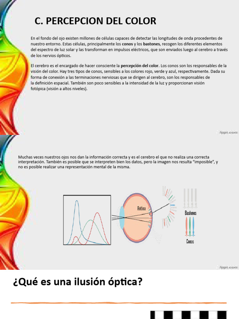 2.1 C. Percepcion Del Color | PDF | Color | Percepción visual