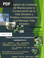 Plan de Manejo para UMAs y PIMVs | PDF | Entorno natural | Conservación