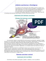 General Ida Des Anatomic As y Fisiologicas Del Sistema Nervioso
