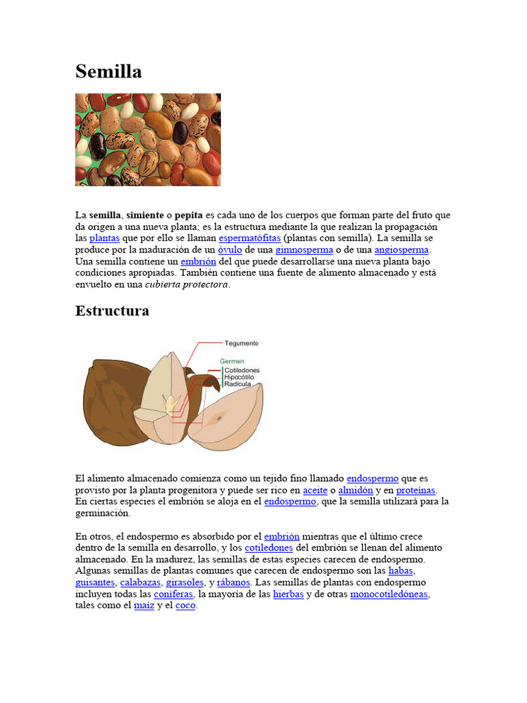 Semilla | PDF | Semilla | Germinación