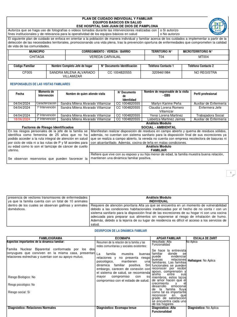 Plan de Cuidado Familiar en Salud | PDF | Enfermería | Trabajo Social