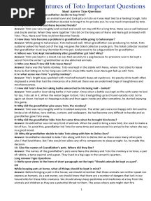 The Adventures of Toto Important Questions