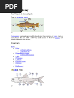 External Anatomy of Bony Fish Explained | PDF | Science & Mathematics