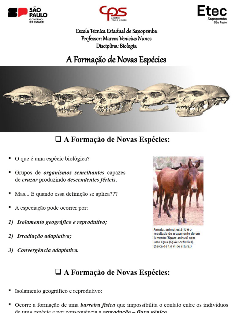 Aula 5 - Formação de Novas Espécies e Evolução Humana | PDF | Evolução ...