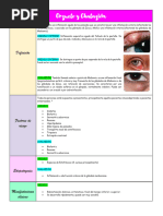 Guía Clínica: Orzuelo y Chalazión | PDF | Inflamación | Medicina CLINICA