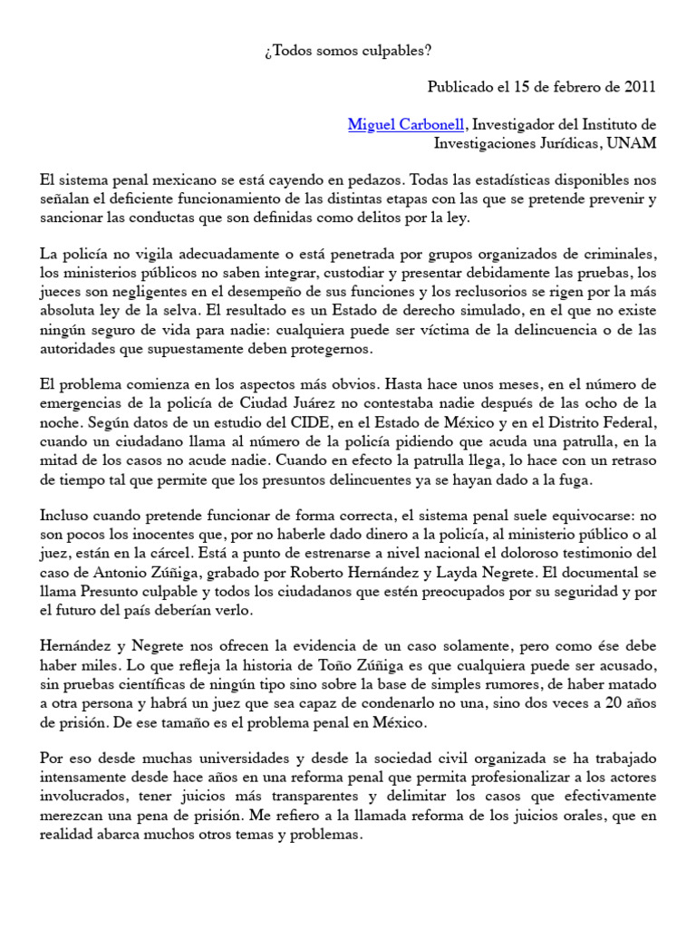 Derecho Penal y Derechos Humanos | PDF | Policía | Prisión