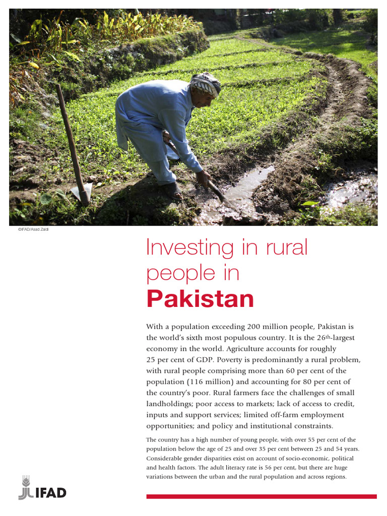 Rural Poverty Reduction in Pakistan | PDF | Poverty Reduction | Poverty