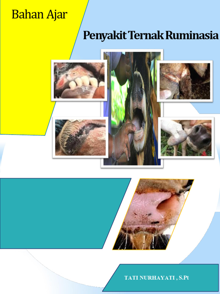 Edukasi Pencegahan Penyakit Ruminansia | PDF