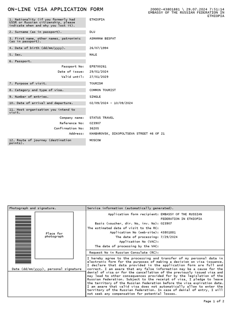 Russian Visa Application Form Guide | PDF | Travel Visa | Passport