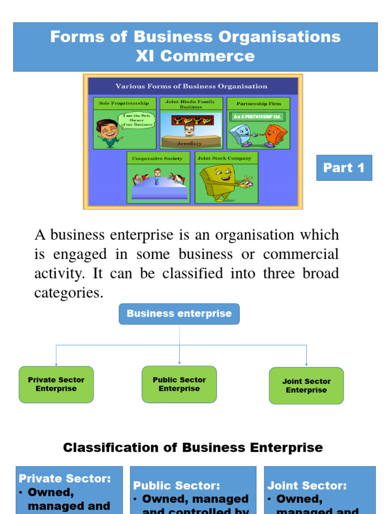 Types of Business Organizations Explained | PDF | Partnership | Sole ...