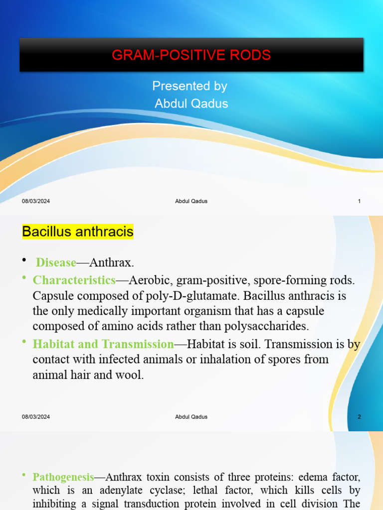 Overview of Gram-Positive Rods | PDF | Medical Specialties | Immunology