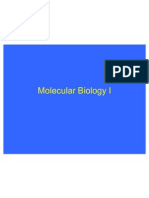 Molecular Biology I``