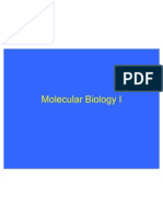 Molecular Biology I''