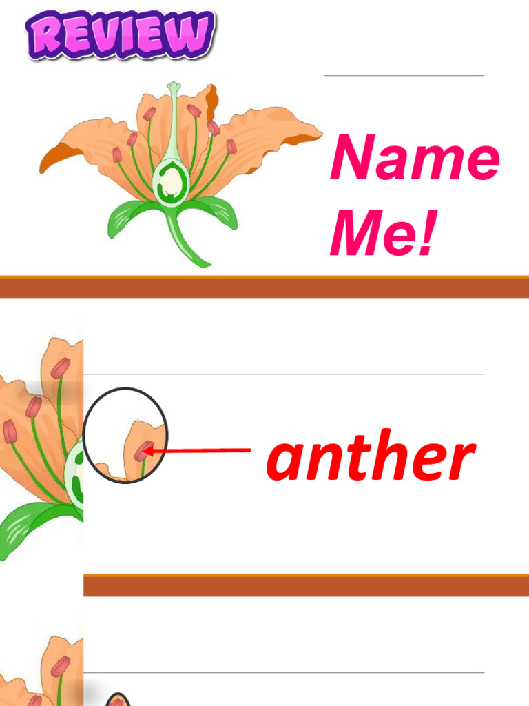 pollination-pdf-science-mathematics