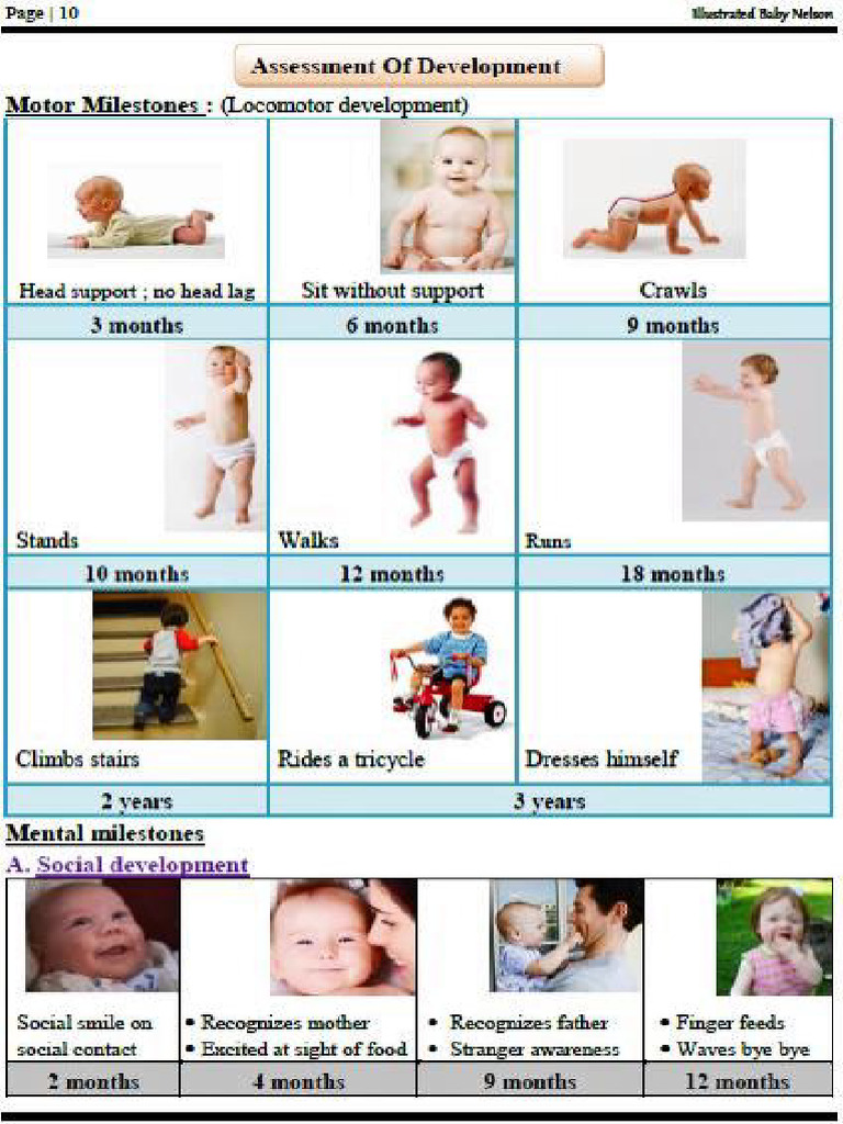Development | PDF